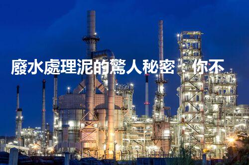 廢水處理泥的驚人秘密：你不明白的環(huán)保新突破！